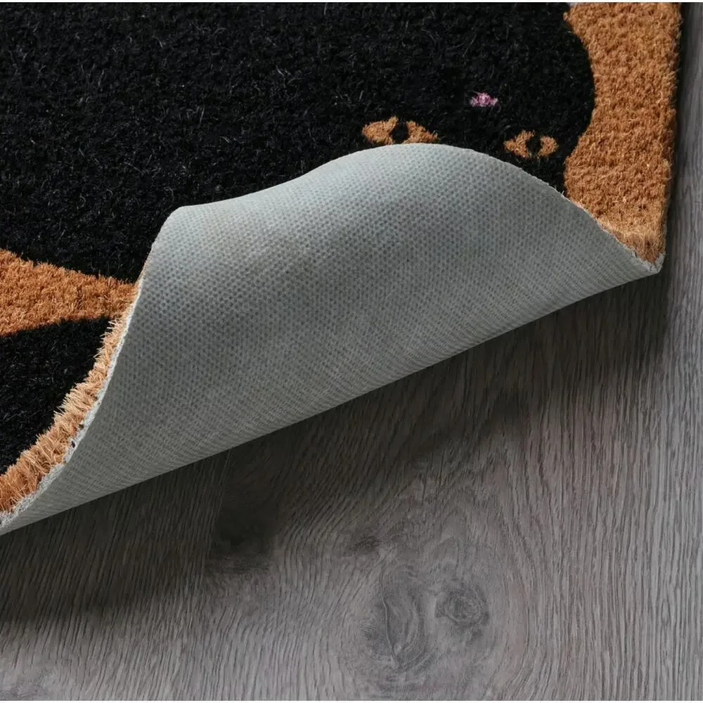 IKEA VÄGTYP VAGTYP Door Mat, Cat Black/Natural, 2'0